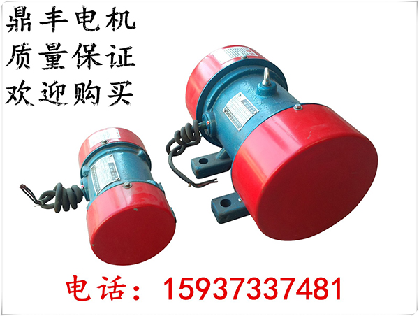 振動(dòng)電機(jī)發(fā)貨